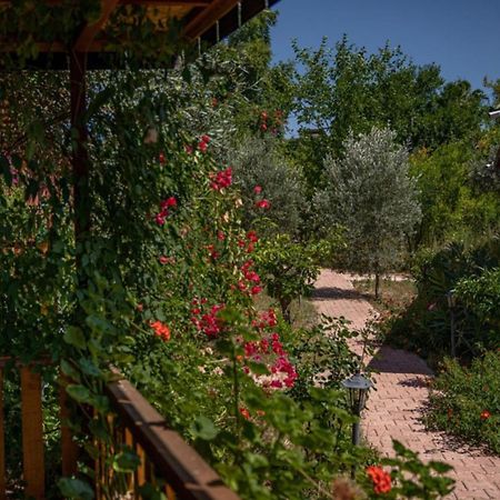 Felicity Hotel & Bungalows Kemer Bagian luar foto