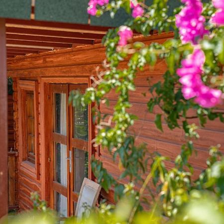 Felicity Hotel & Bungalows Kemer Bagian luar foto