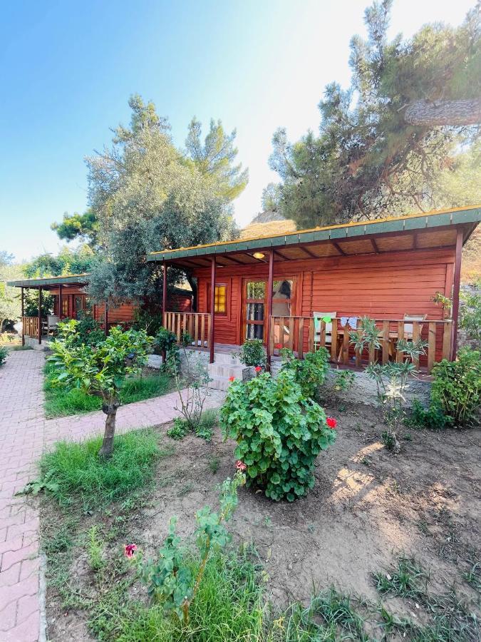 Felicity Hotel & Bungalows Kemer Bagian luar foto
