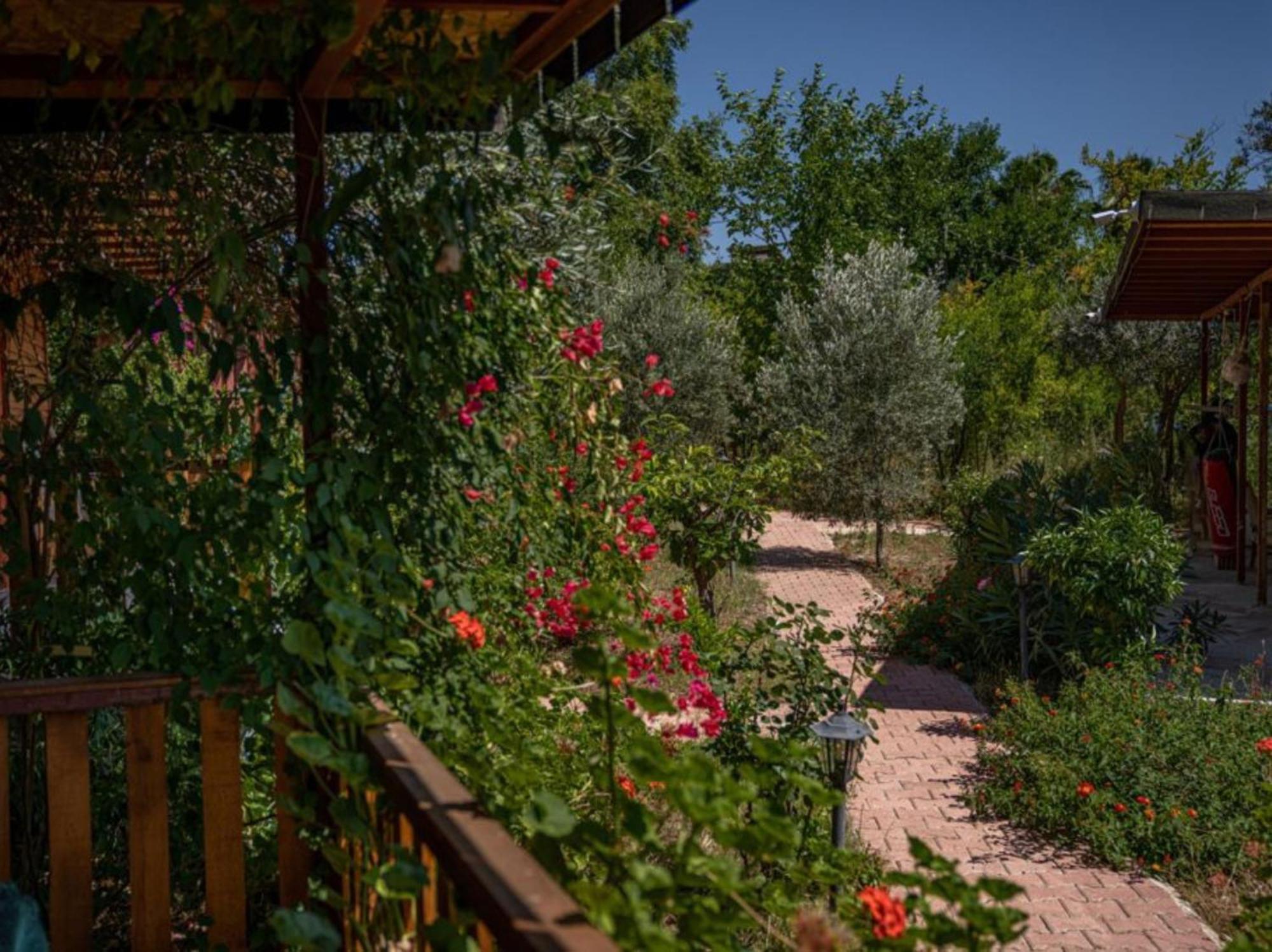 Felicity Hotel & Bungalows Kemer Bagian luar foto