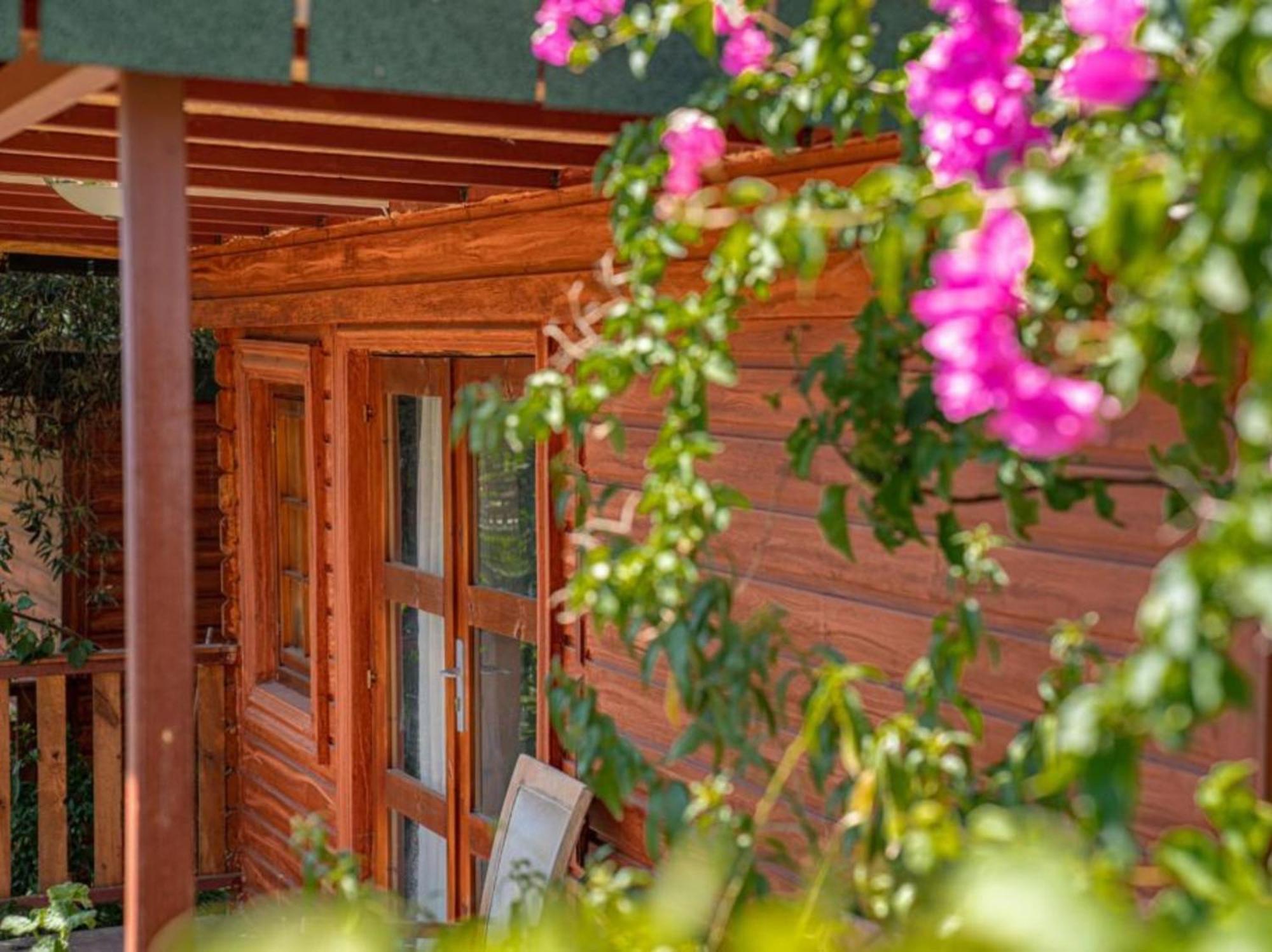 Felicity Hotel & Bungalows Kemer Bagian luar foto