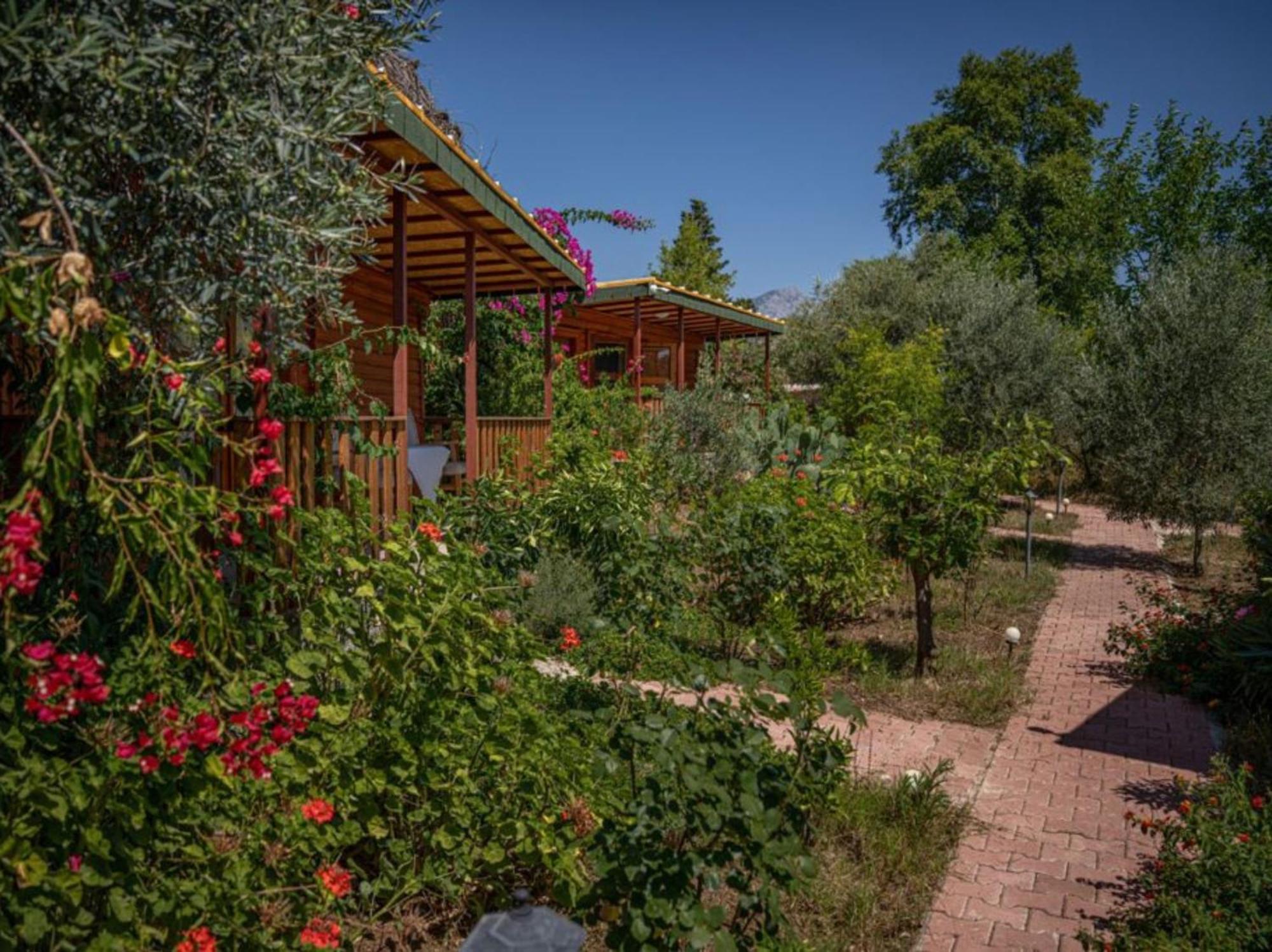 Felicity Hotel & Bungalows Kemer Bagian luar foto