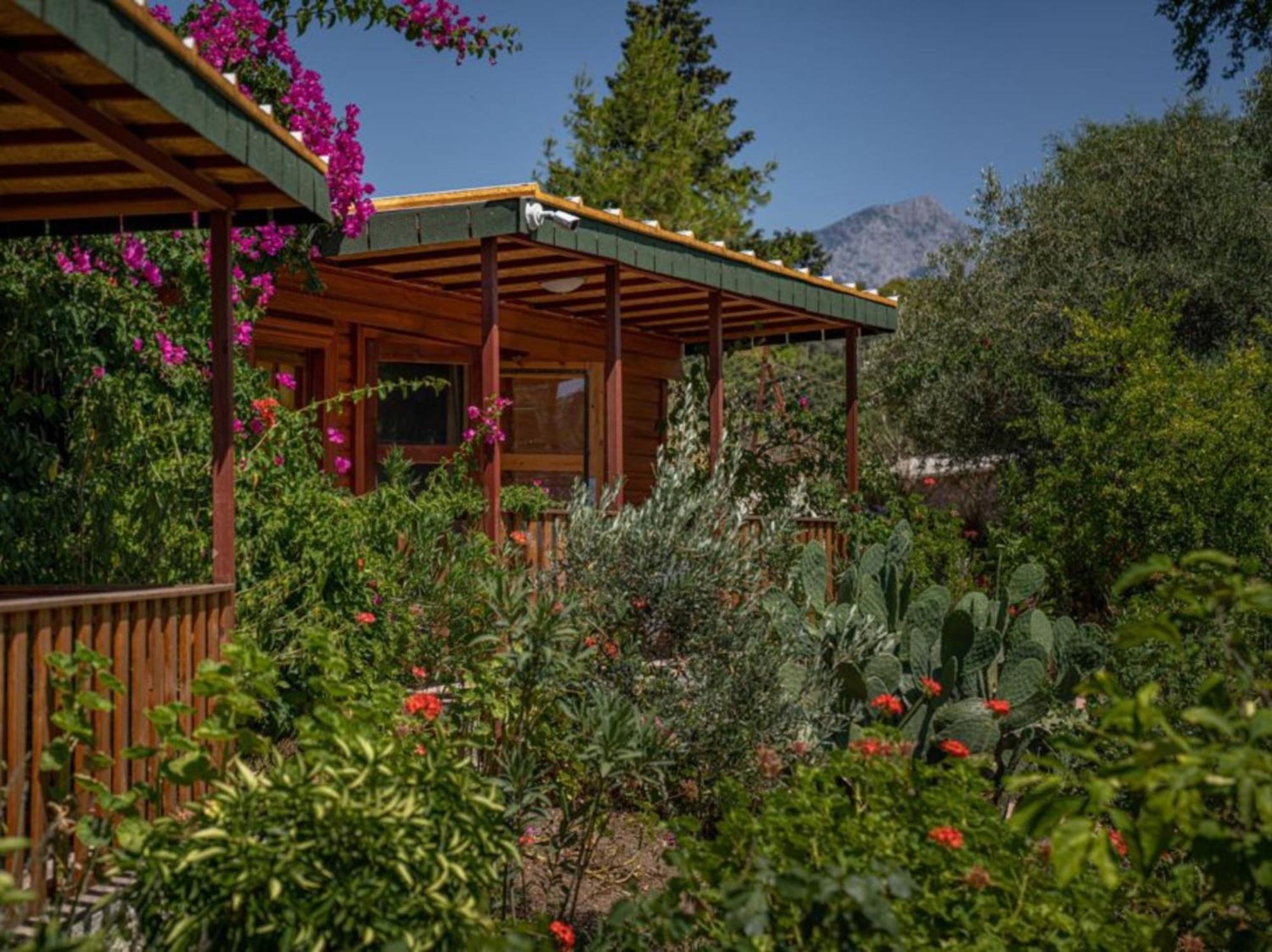 Felicity Hotel & Bungalows Kemer Bagian luar foto